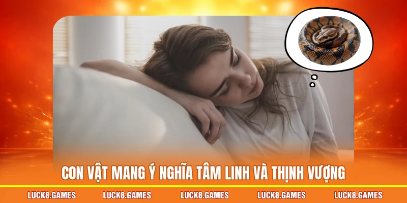 Con vật mang ý nghĩa tâm linh và thịnh vượng